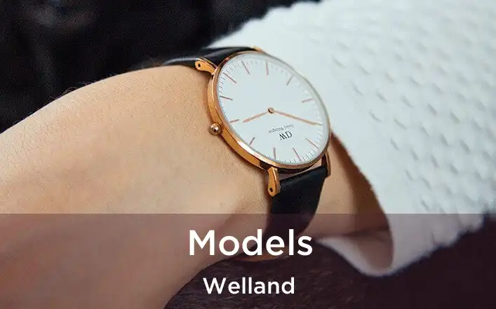  Models Welland