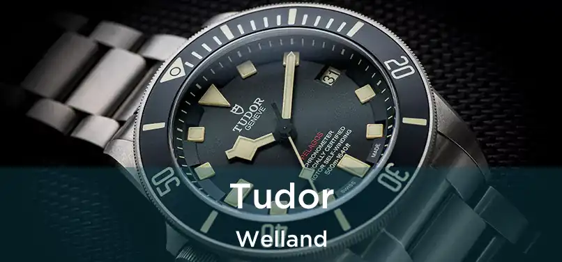  Tudor Welland