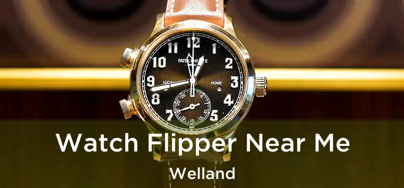  Watch Flipper Near Me Welland